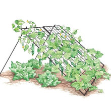 Rich Black Metal Wire Garden Trellis Cucumber Wire Trellis